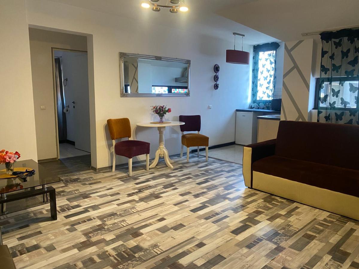 The Vintage - Wonderful Apartment In Best Location Κραϊόβα Εξωτερικό φωτογραφία