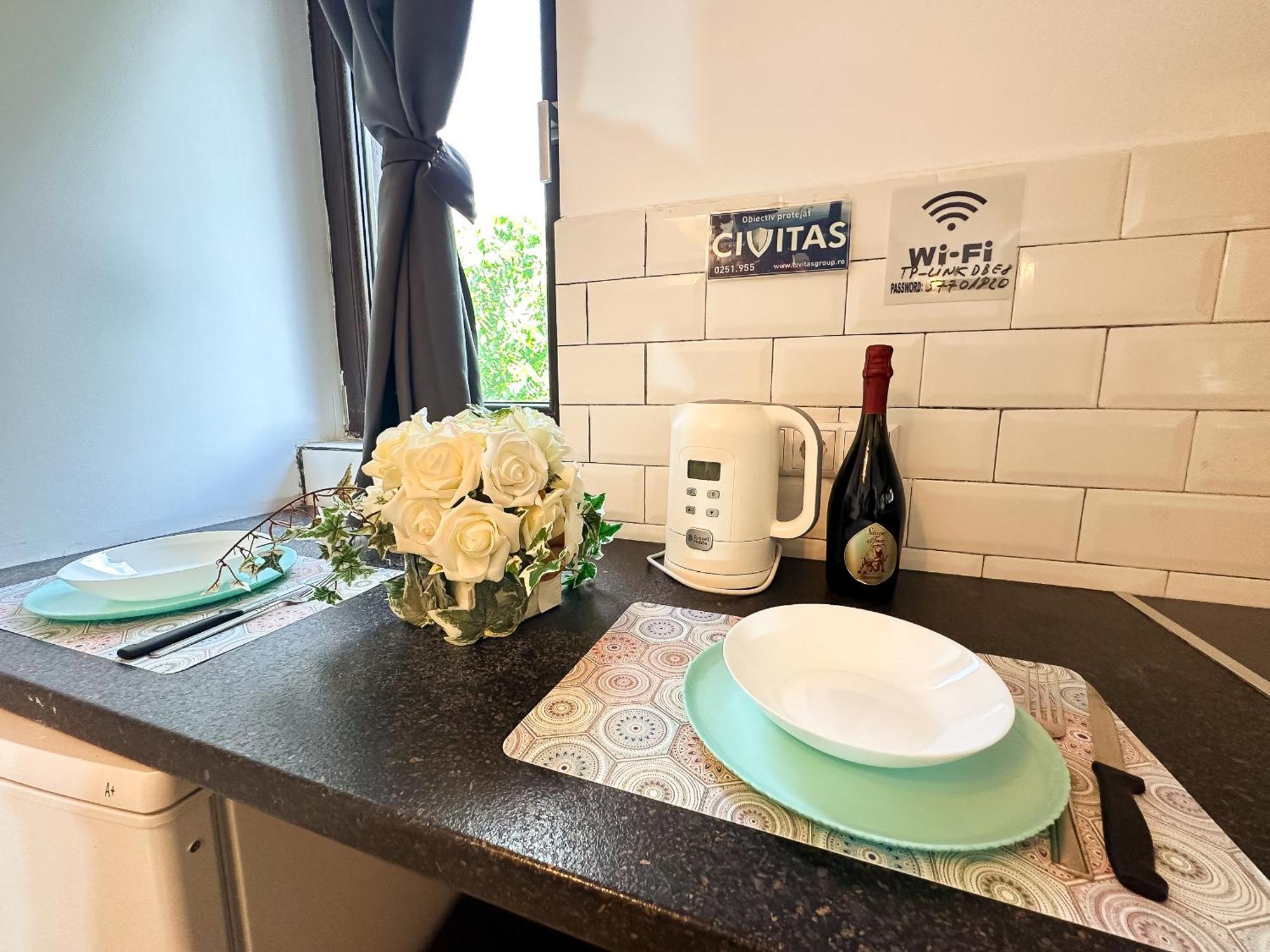 The Vintage - Wonderful Apartment In Best Location Κραϊόβα Εξωτερικό φωτογραφία