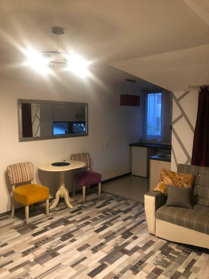 The Vintage - Wonderful Apartment In Best Location Κραϊόβα Εξωτερικό φωτογραφία